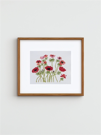 French Anemones fra Oehlenschlager 